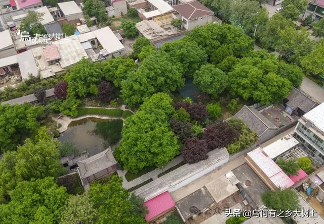 石家庄高邑县,是明末东林党领袖赵南星故乡,现存赵氏家祠