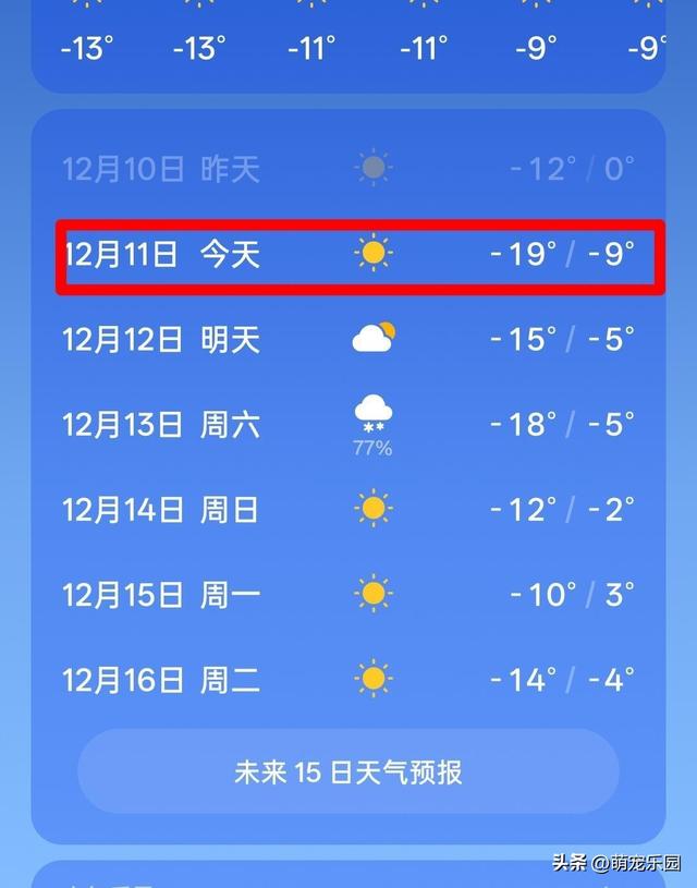 沈阳零下9度迎冬考，南方朋友雪景兴奋，我给出差贴心建议