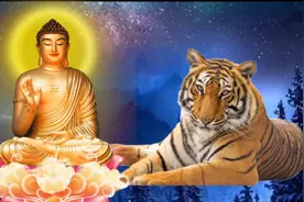 生肖虎：贵人相助！6月将遇到3位命里贵人，转运时刻好好把握！图片