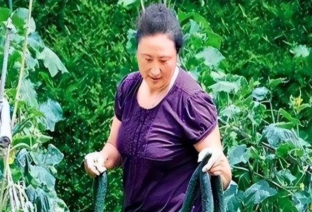 郎平做梦也没想到，曾获五连冠女排队长杨锡兰，如今沦落到做保安