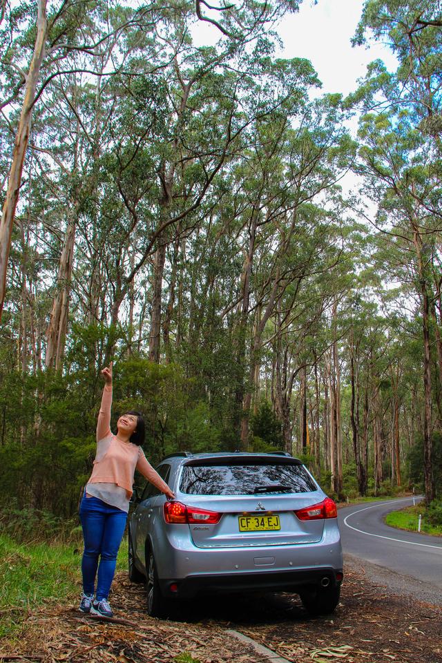 澳大利亚墨尔本｜大洋路自驾游攻略｜史上最浪的海岸线