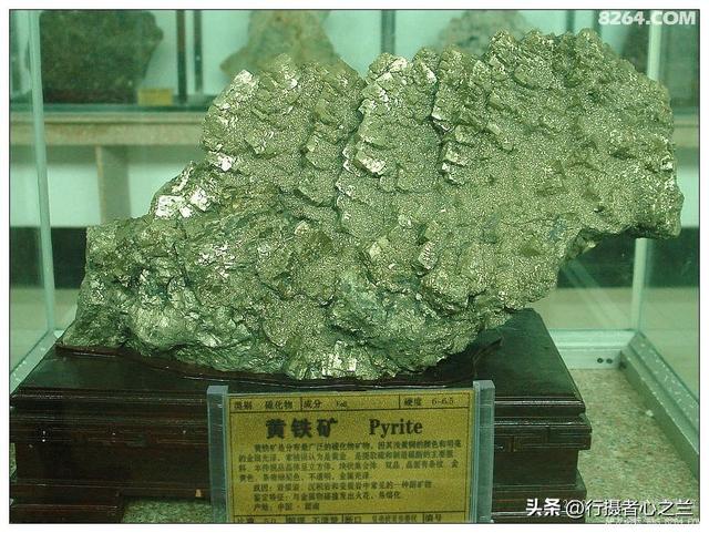 山东行游影记（31）—平邑天宇自然博物馆（六）