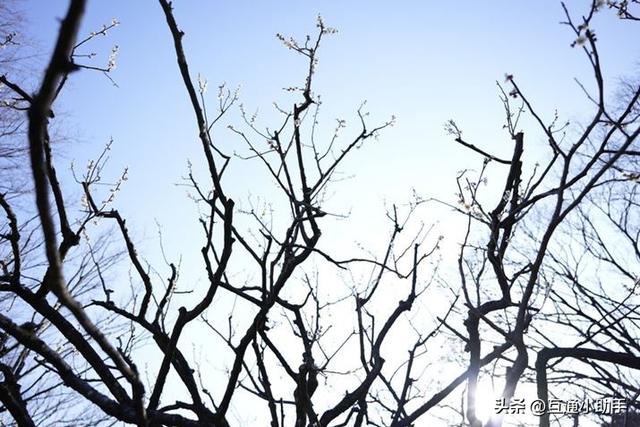 腾龙“20-40mm F/2.8 Di III VXD”镜头评测!
