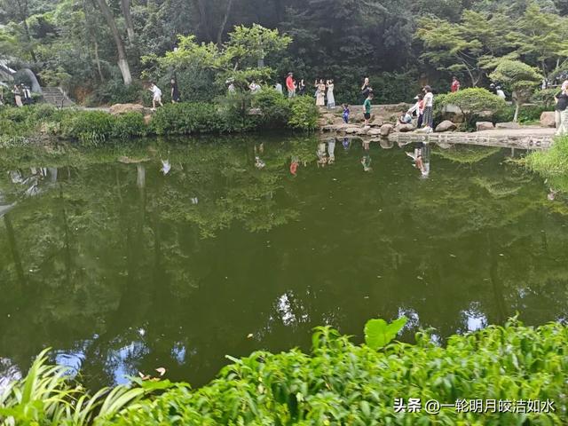岳麓漫游，感受红色基因与烟火气