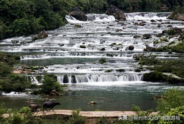一个被严重低估的宝藏地！卸载48小时城市内卷，到鹿寨中渡加载山水与人间烟火
