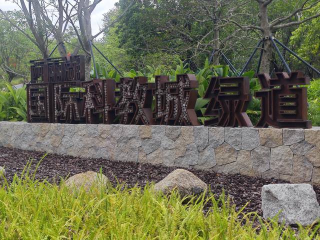 西丽湖国际科教城绿道高清随拍