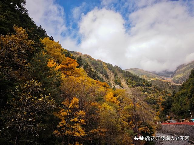 米亚罗彩林季，观赏一日游！