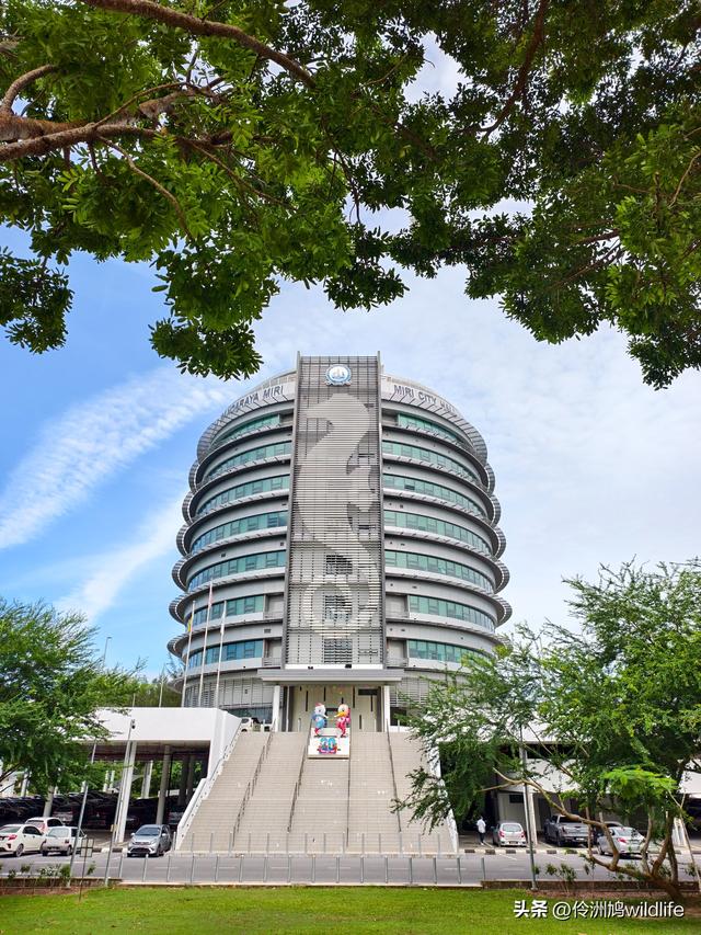 马来西亚(33)砂拉越州⑦美里市加拿大山、海滨公园等