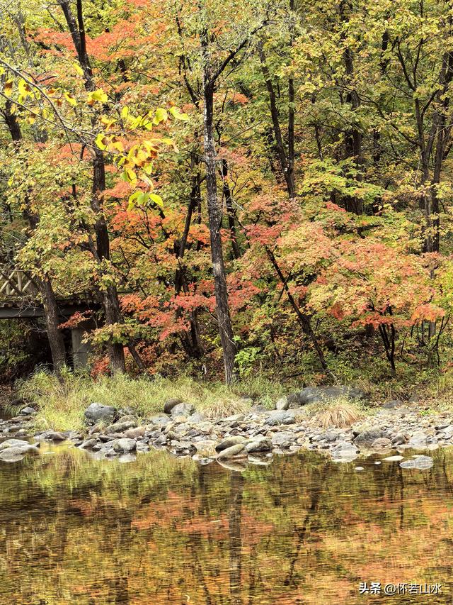 2025辽宁赏秋之旅日记(2)——游览丹东蒲石河森林公园
