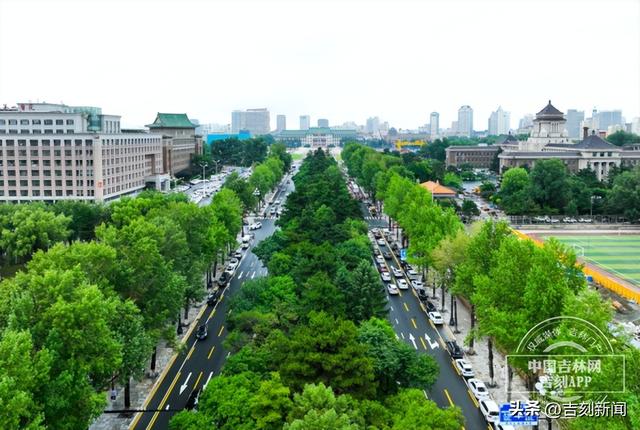 战旗，战旗，你看到了么？