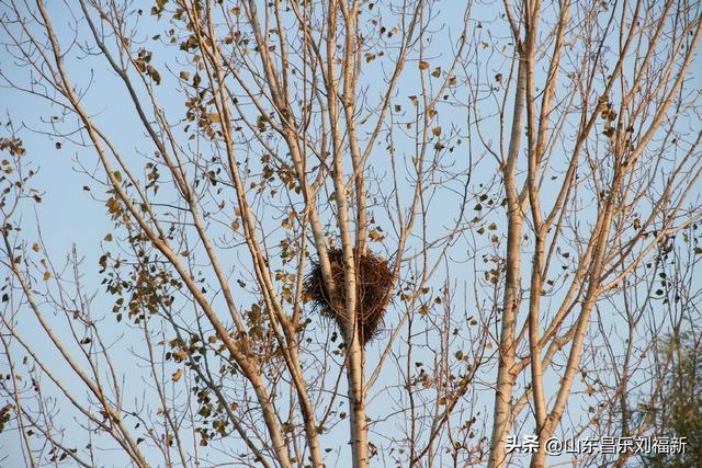 偶遇贾江虹·刘文顺先生来访