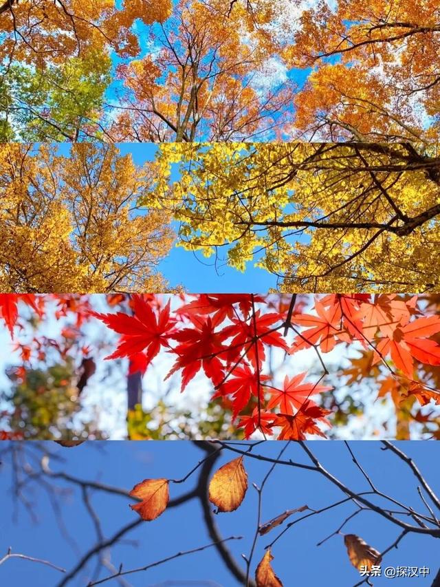 不等了！这个秋天，我就要去草川子~