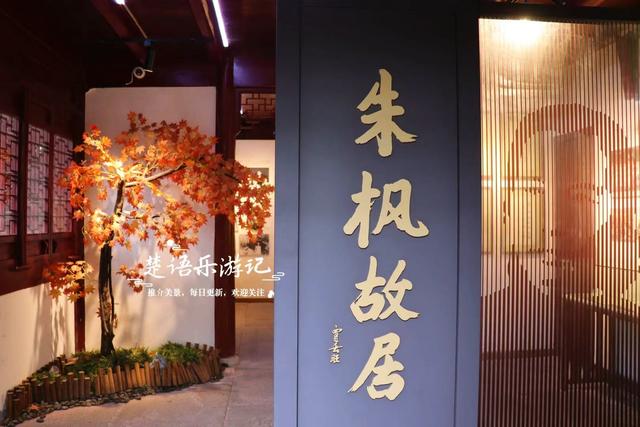 宁波镇海推出新的菊花展，5个赏菊地连成一条线，堪称史上最美