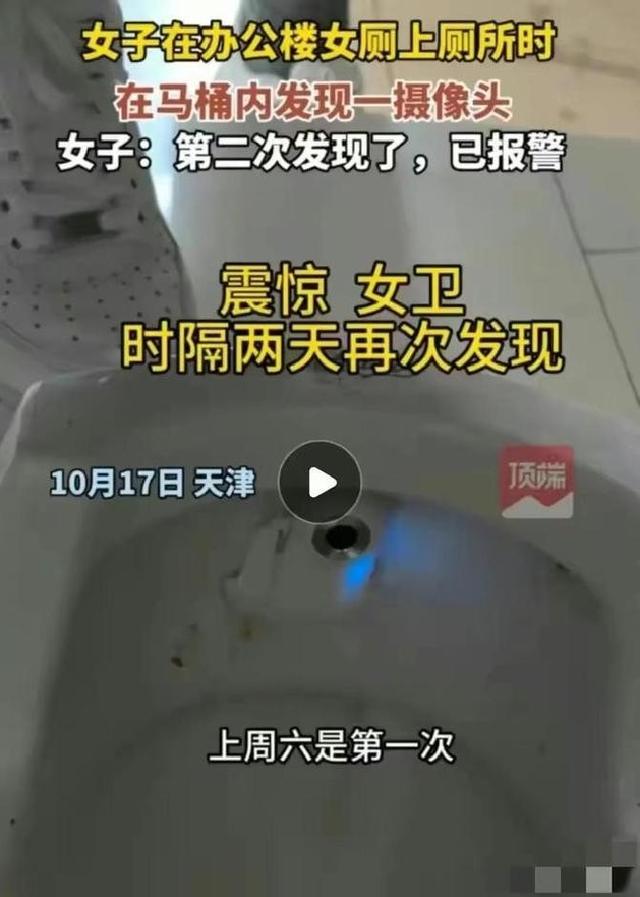 无锡女子半夜上厕所，马桶里盘着条蛇，她的处理方式让所有人后怕