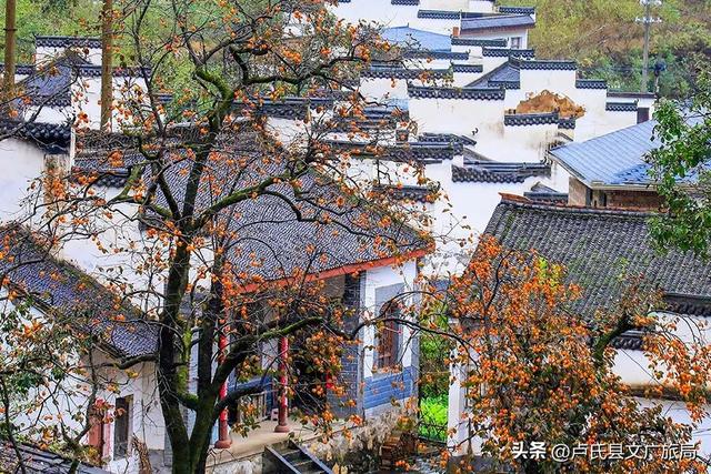 卢氏秋日美图 | 柿柿如意 山乡秋韵拉满