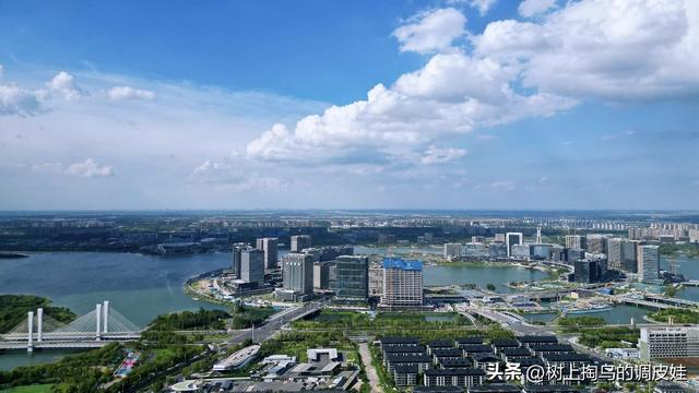 网络文章应标明虚实，净化环境需多方合力