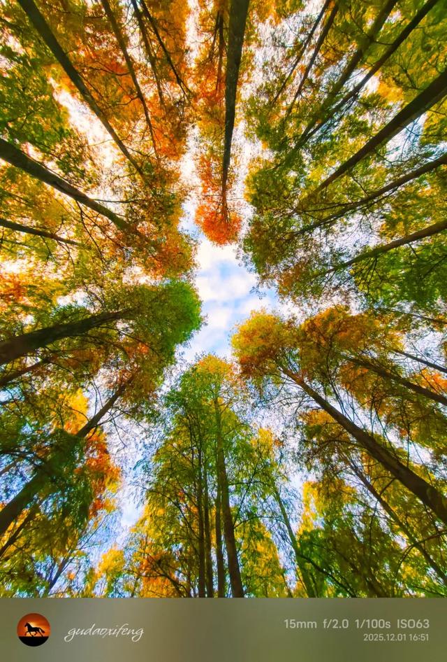 初冬限定！星湖美景焕新上线，打卡要趁早~