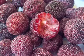 清洗杨梅，用盐和清水洗都是外行，相当于吃虫卵，教你正确做法！图片