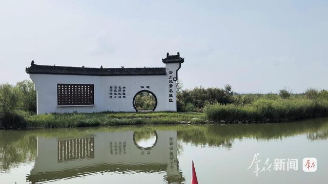 大河奔涌万象新 | 黄河洽川湿地：在万亩芦荡下看见绿水青山