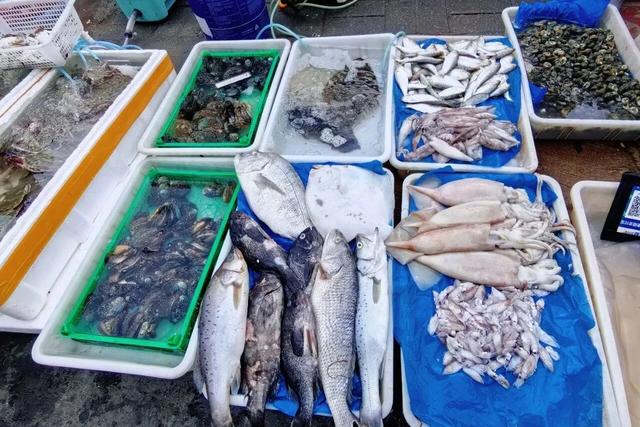 清晨五点,威海人还没醒,威海这两条路却早已挤满了外地车!