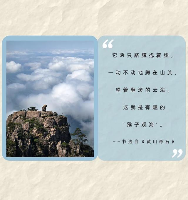 云海翻书页，奇石立课文