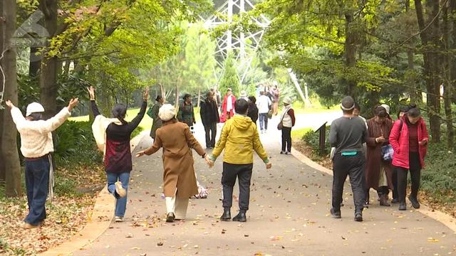 2.5万人！昆明植物园开启“人从众叕”模式，你们被枫叶刷屏了吗？