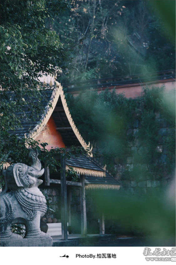 景迈山｜糯干古寨、翁基古寨、千年茶林