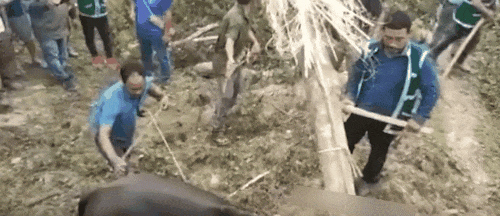 远离禽兽
