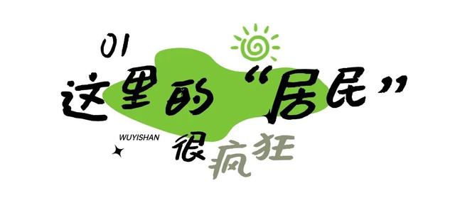 快来抱抱~ | Welcome to 疯狂·武夷山·动物城