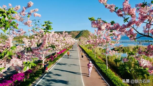 春节小长假 石屏旅游迎来开门红