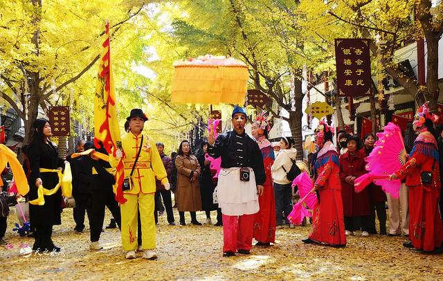 金色长廊映秦州,黄金大道引客来!