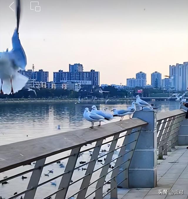 🌞广汉金雁湖公园：冬日里的“阳光能量站”