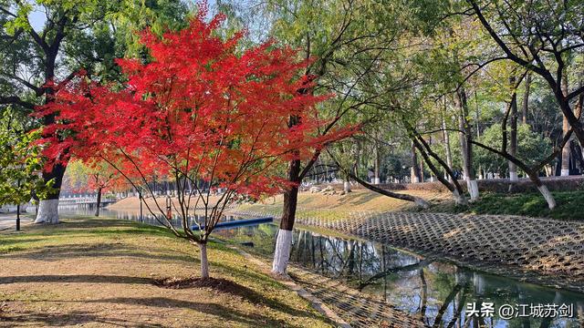 霜影下的城市绯霞