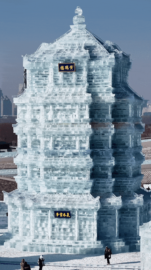 看完心跳加速，一键重温2025楼楼的名场面