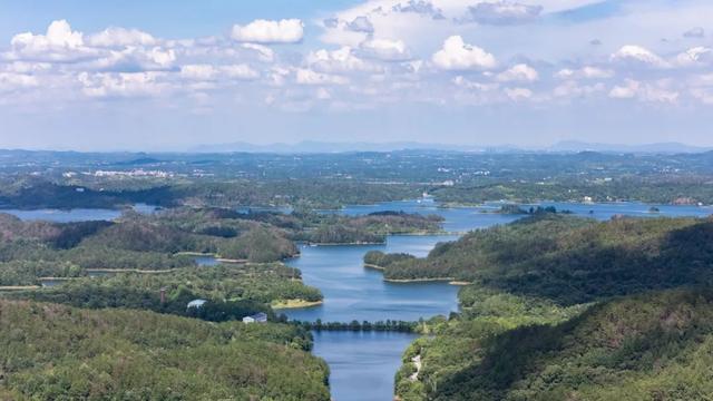遇鹿山庄：与鹿同栖，住进李白诗中的「星野山居」