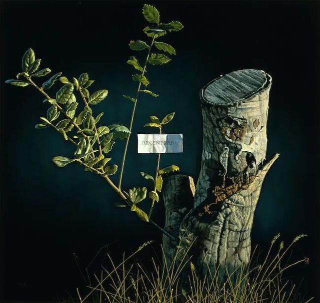 像柏拉图那样画画：大卫·利加尔David Ligare 的艺术之问