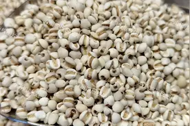 “湿气重则百病生”，建议多吃这5样，祛湿排毒健脾胃，一身轻松图片