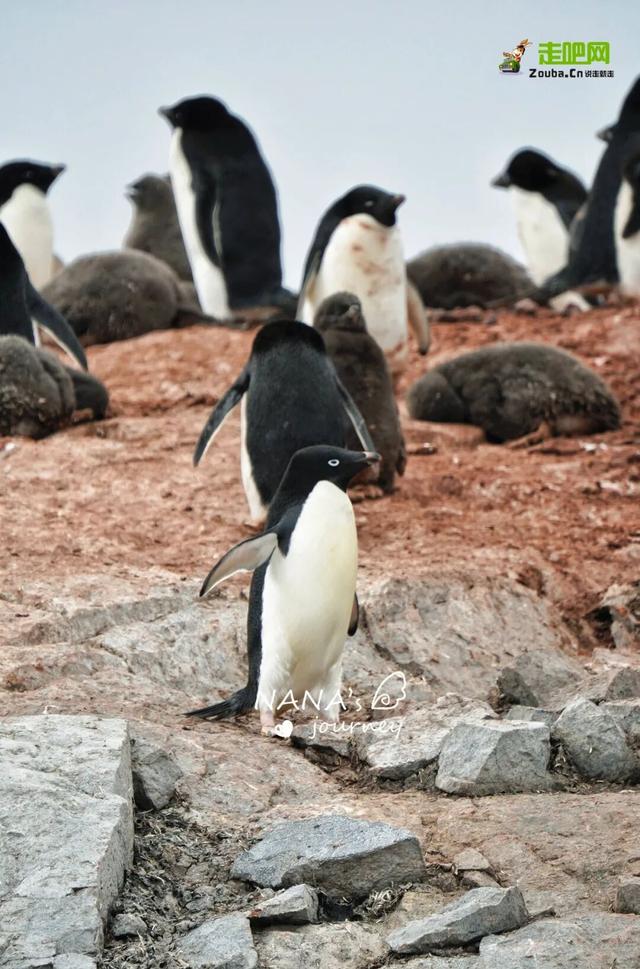 她走过80多个国家地区，穿着汉服去旅行，让华夏之美走向世界！