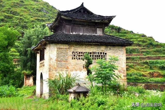 多彩大坪飘红绿