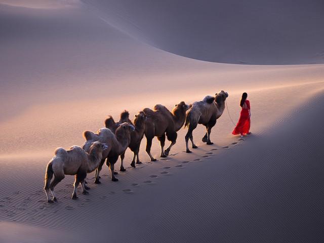 🔥鸣沙山月牙泉，一场穿越沙海的奇幻之旅！🔥