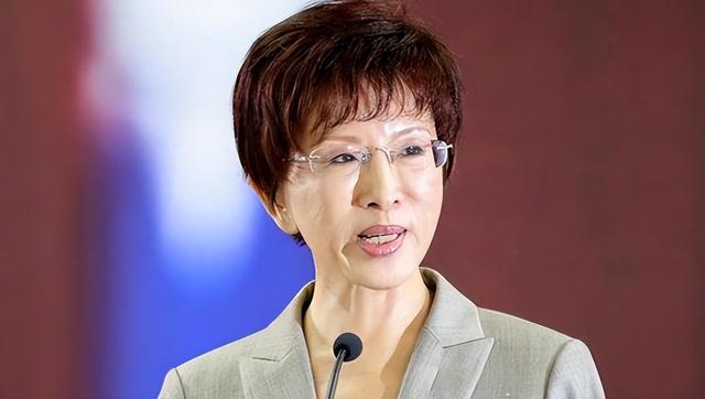 国民党主席选举杀出“黑马”	，洪秀柱一锤定音，谋求两岸统一