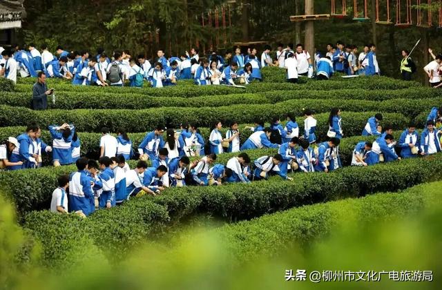 秋游柳州，在三江收藏一片秋天~