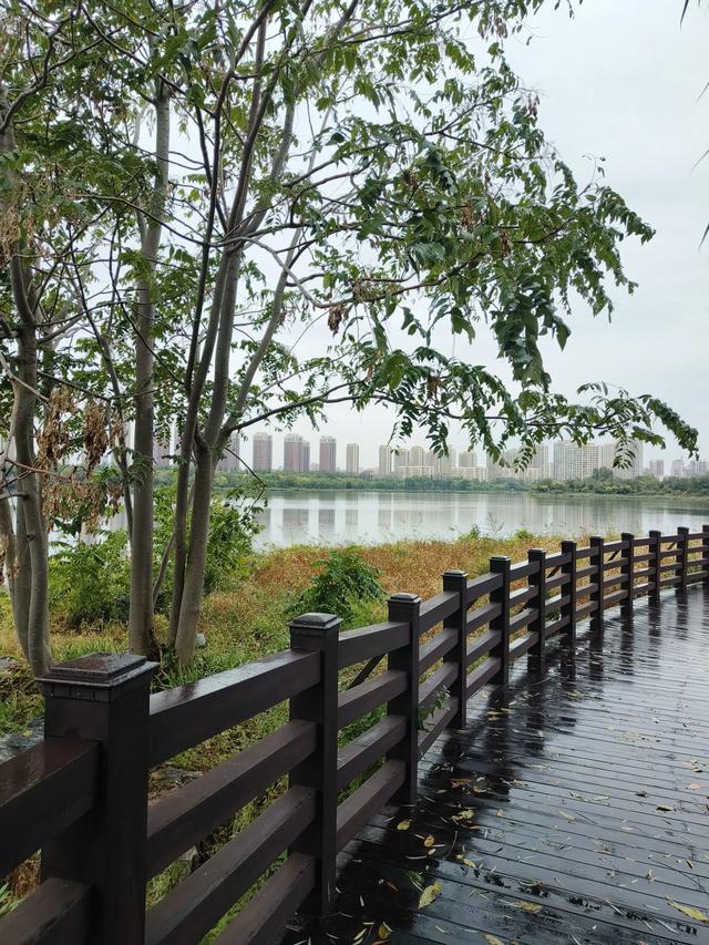 天津《梅江公园》