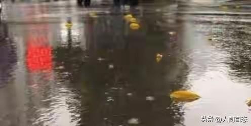 立冬遇雨有啥说法？老祖宗的农谚早说透了，不是迷信是经验