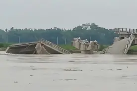 甩锅中国?印度避开中国,找日本买130吨变压器,谁料压垮百年古董桥图片