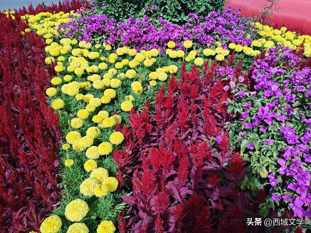 散文写人生｜寻踪河西 金昌行记 文图/张耀宇