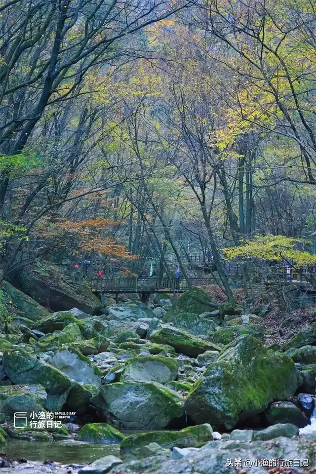 西安秦岭最美峪口之一，把山水玩到了极致！秋色正浓，就现在！