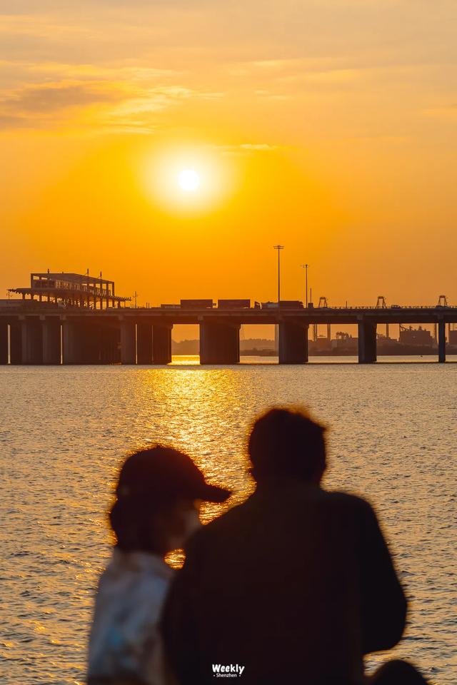 深圳的未来,为什么看前海?