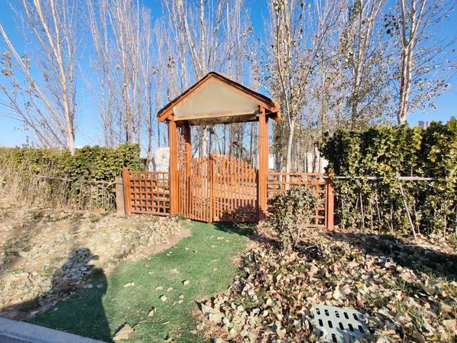 德州城西“花园营地”怎么不见了?