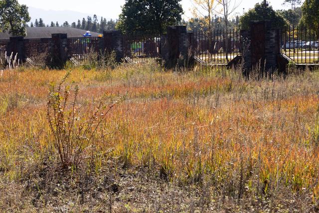 腾冲游之火山地质公园